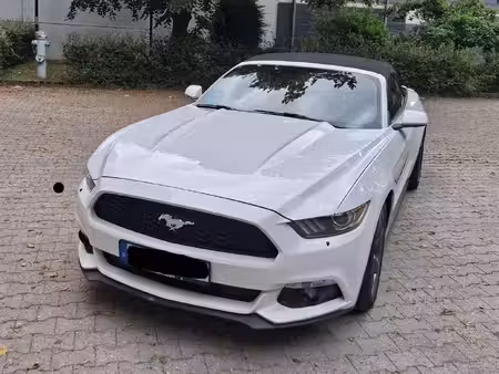 Ford Mustang V6 3.7 317