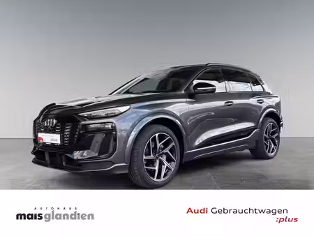 Audi e-tron Business Line quattro