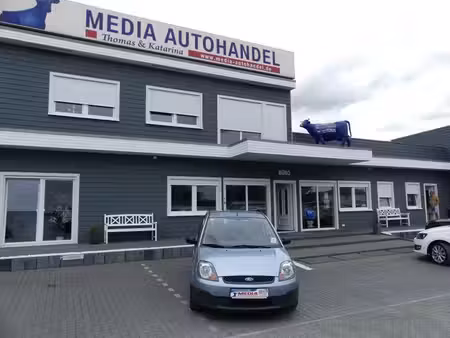Ford Fiesta 1.3 60 Fun