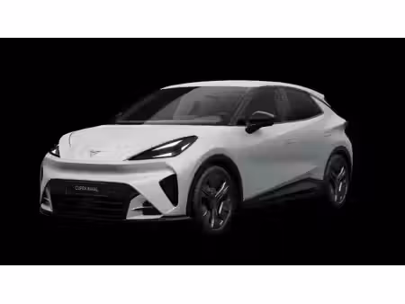 Cupra Raval 135
