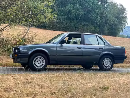 BMW Série 3 316 1.6 102