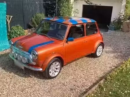 Rover Mini 1.3