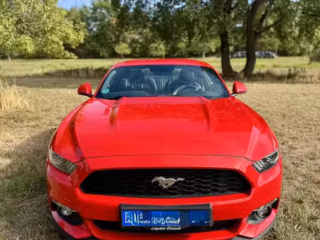 Ford Mustang Fastback 2.3 317