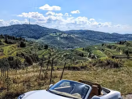 Porsche 718 2.7 265