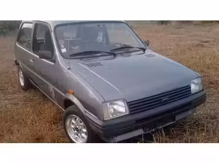 Austin Metro 