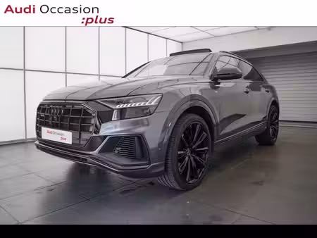 Audi Q8 60 TFSI E V6 3.0 462 Competition quattro