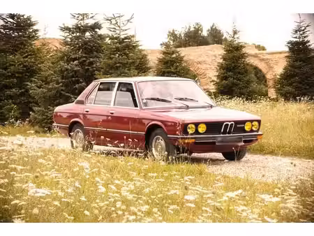 BMW Série 5 520i