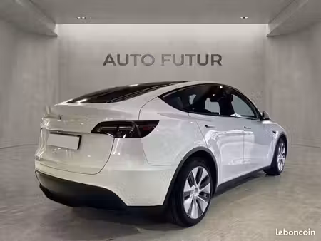 Tesla Model Y Standard 300