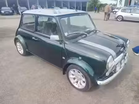 Rover Mini 1.3