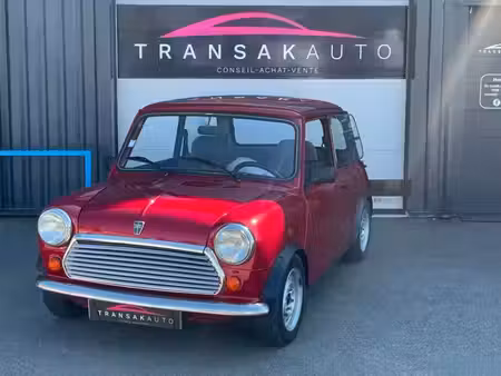 Rover Mini 1.3 53