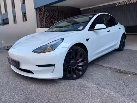 Tesla Model 3 Performance 482 PUP 4x4