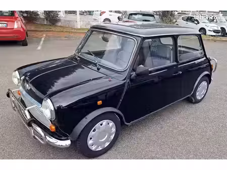 Rover Mini 1.3 53