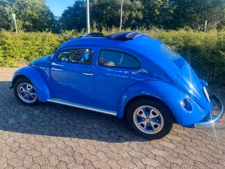 Volkswagen Beetle 
