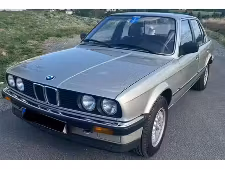 BMW Série 3 318i