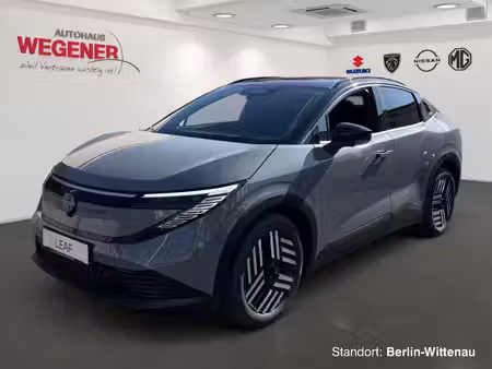 Nissan Leaf 217