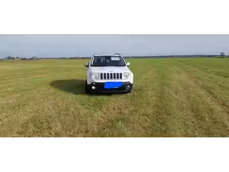Jeep Renegade 1.4 Multi 140