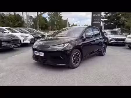 BYD Dolphin 