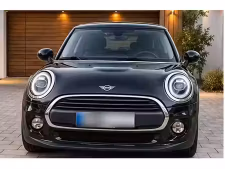 Mini Mini One 102 Blackyard