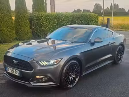 Ford Mustang Fastback 2.3 317
