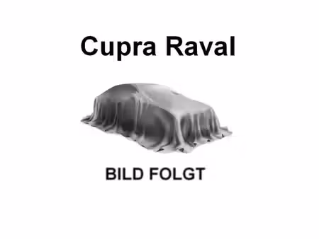 Cupra Raval 135