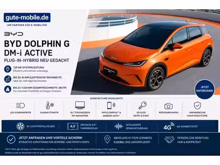 BYD Dolphin 