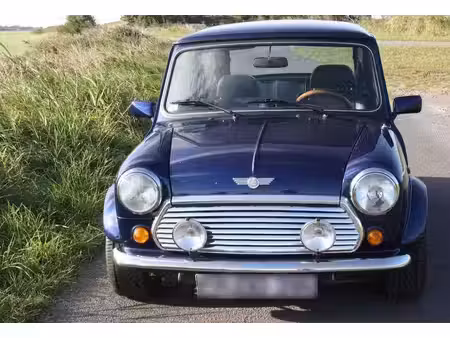Rover Mini 1.3