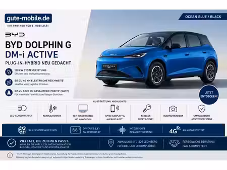 BYD Dolphin 