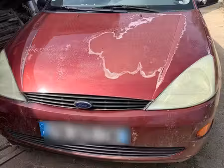 Ford Focus 1.6 100