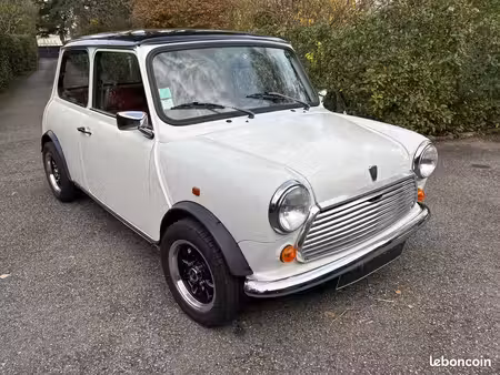 Rover Mini 1.3 53
