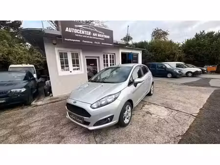 Ford Fiesta 1.0 100 Trend