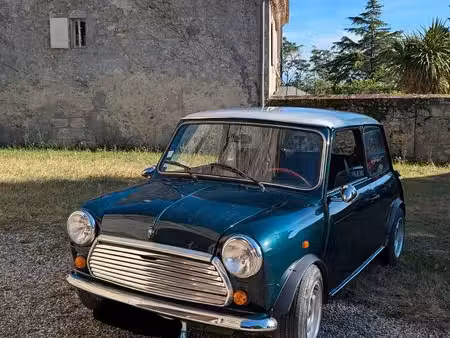 Mini Mini 