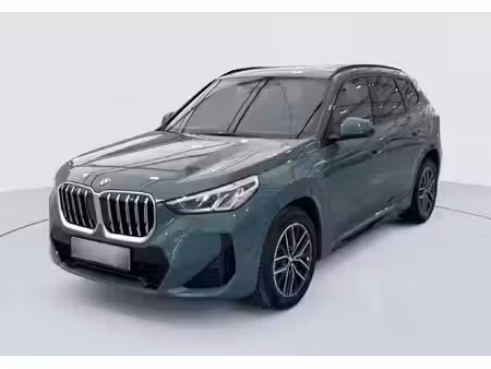 BMW X1 M Sport