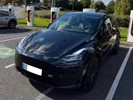 Tesla Model Y Standard