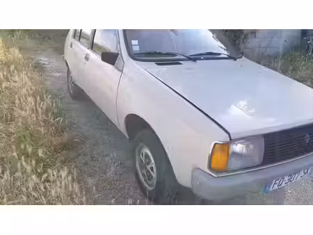 Renault R14 