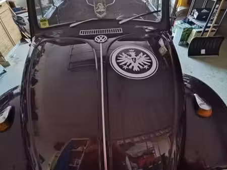 Volkswagen Beetle 1.6