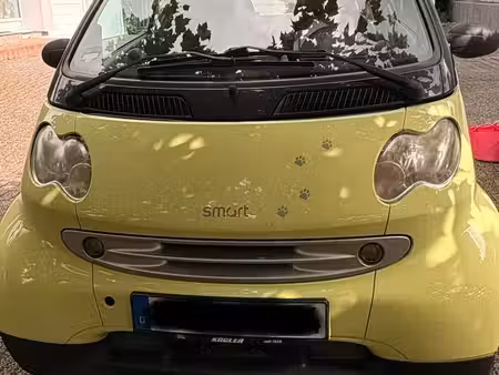 Smart Fortwo 0.6