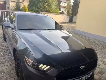 Ford Mustang Fastback 2.3 EcoBoost 317
