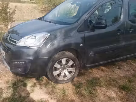 Citroën Berlingo HDi 100