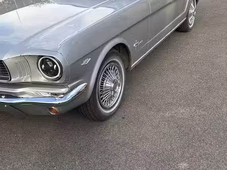 Ford Mustang Collection