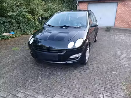 Smart Forfour 1.1