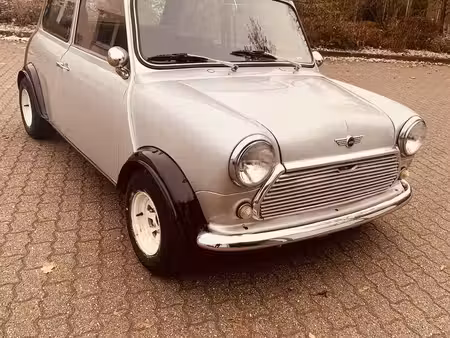 Mini Mini 