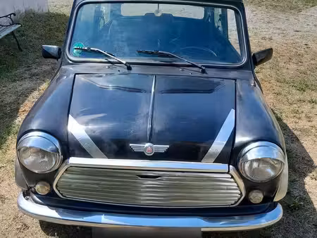 Rover Mini 1.3