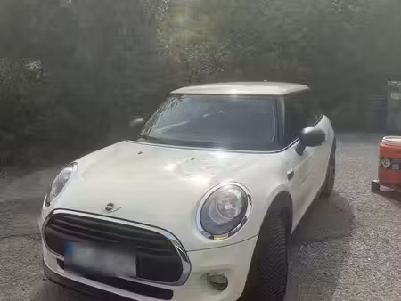 Mini Mini One