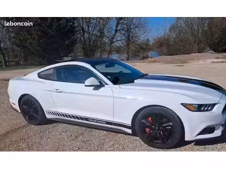 Ford Mustang Fastback 2.3 317