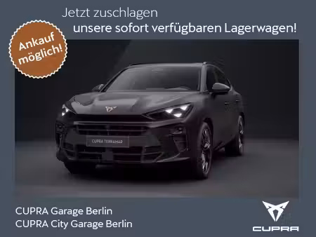 Cupra Terramar VZ