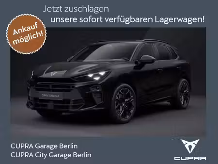 Cupra Terramar VZ