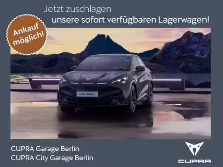 Cupra Tavascan 340