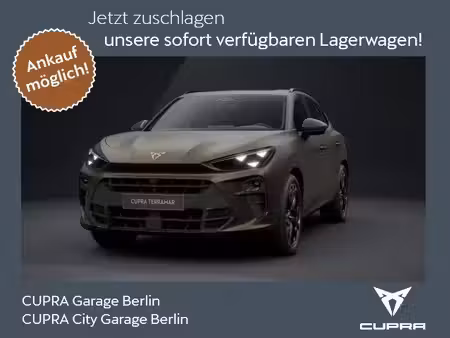 Cupra Terramar VZ