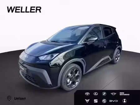 BYD Dolphin 156