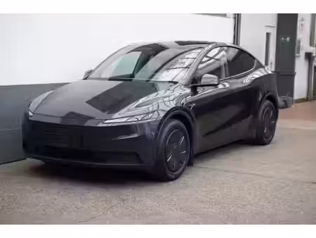Tesla Model Y Standard 300
